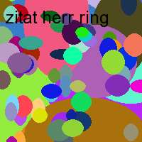 zitat herr ring