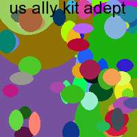 us ally kit adept